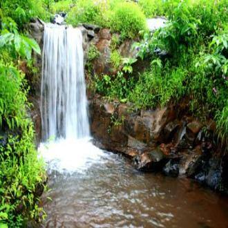 Stay In A Farm In Raigad, Raigad 1